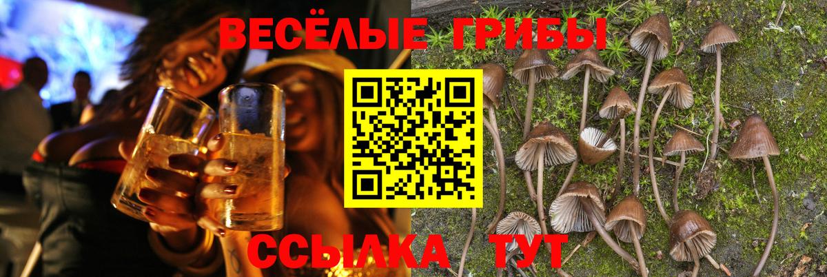 Галлюциногенные грибы Cubensis  Псилоцибиновые грибы мухоморы  Вход с VPN  Белореченск 